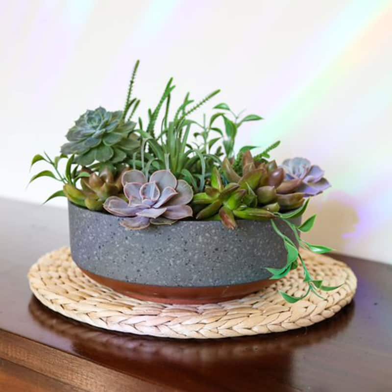 The HC Companies Capri Bowl Succulent Planter, Faux Concrete Copper (2 Pack) - 0.60