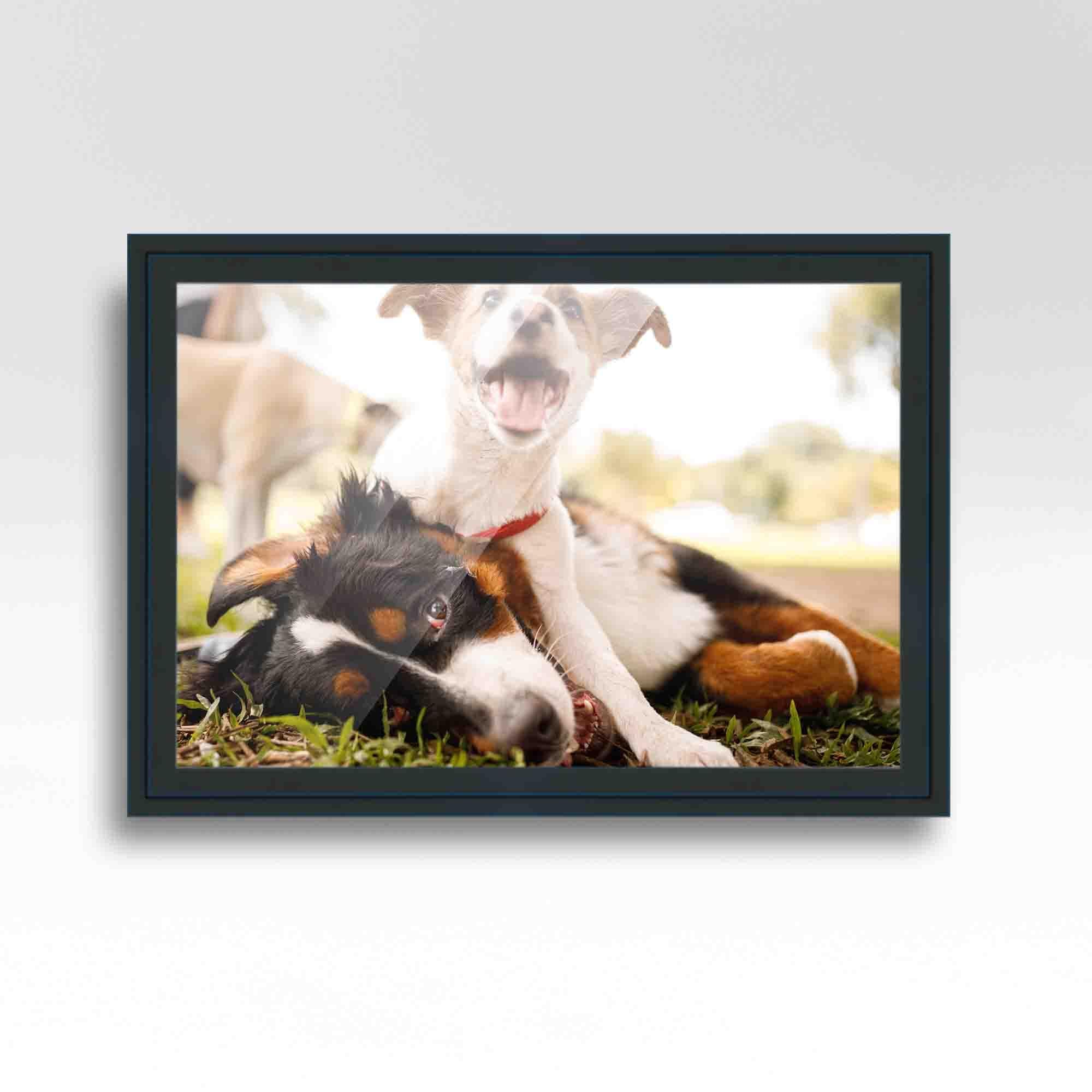 11x14 blue picture top frame