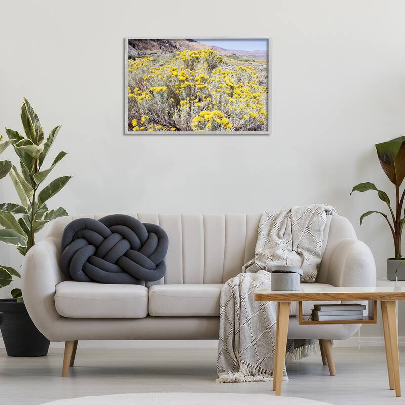 Stupell Yellow Flowers in Arid Meadow Framed Giclee Art Design By Gemma Bardot