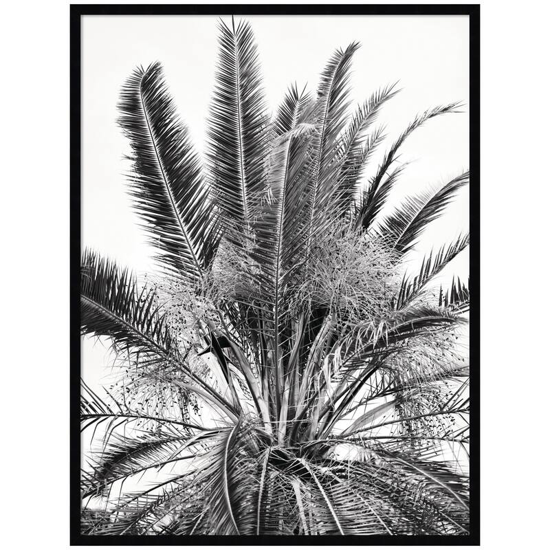 Kate and Laurel No 15 by Alicia Bock Framed Wall Art Print - 31 x 41 - Black