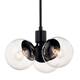 Option Black