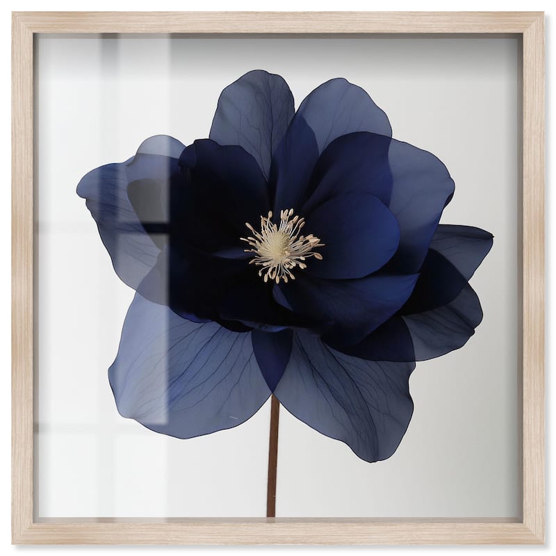 Night Dal I Shadowbox by Art Remedy - Natural - 24" x 24"