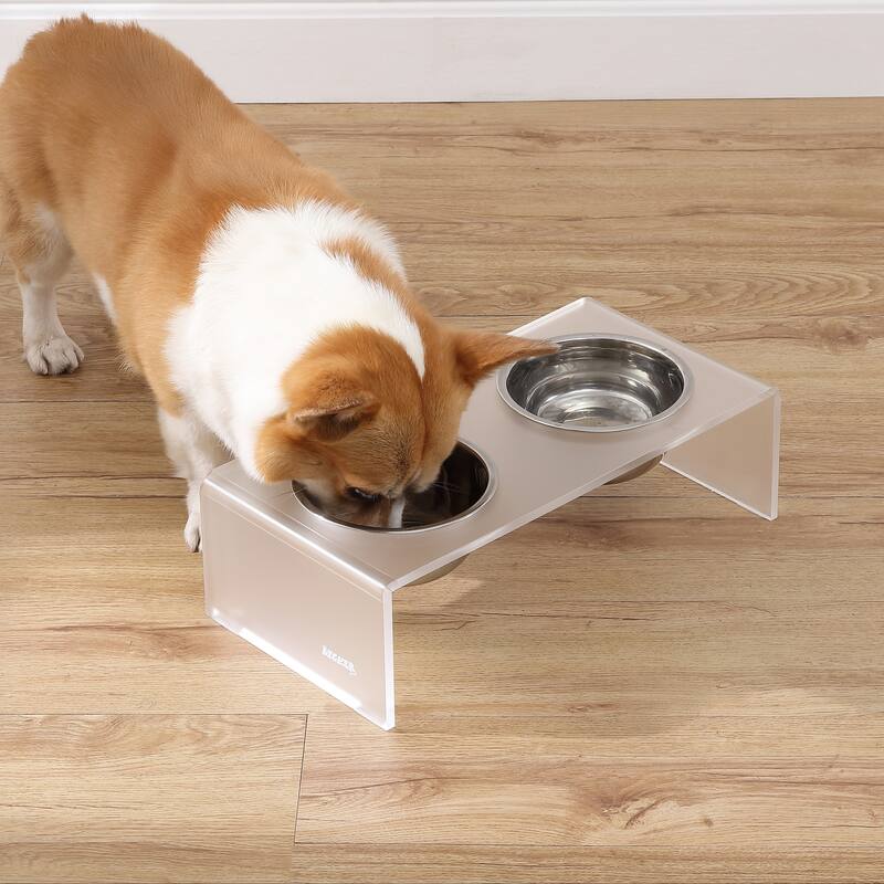 Keaton 5" Small/Medium Modern Lucite Rectangular Elevated Pet Feeder with 20oz 2-Stainless Steel Bowls