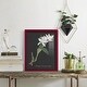 preview thumbnail 104 of 118, Orchid on Slate III -Framed Print w/glass-Cherry Red