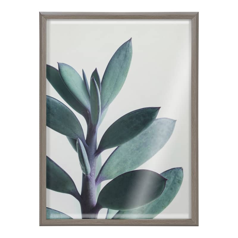 Kate and Laurel Blake Senecio 1 Framed Printed Glass by Emiko and Mark Franzen of F2Images - Gray