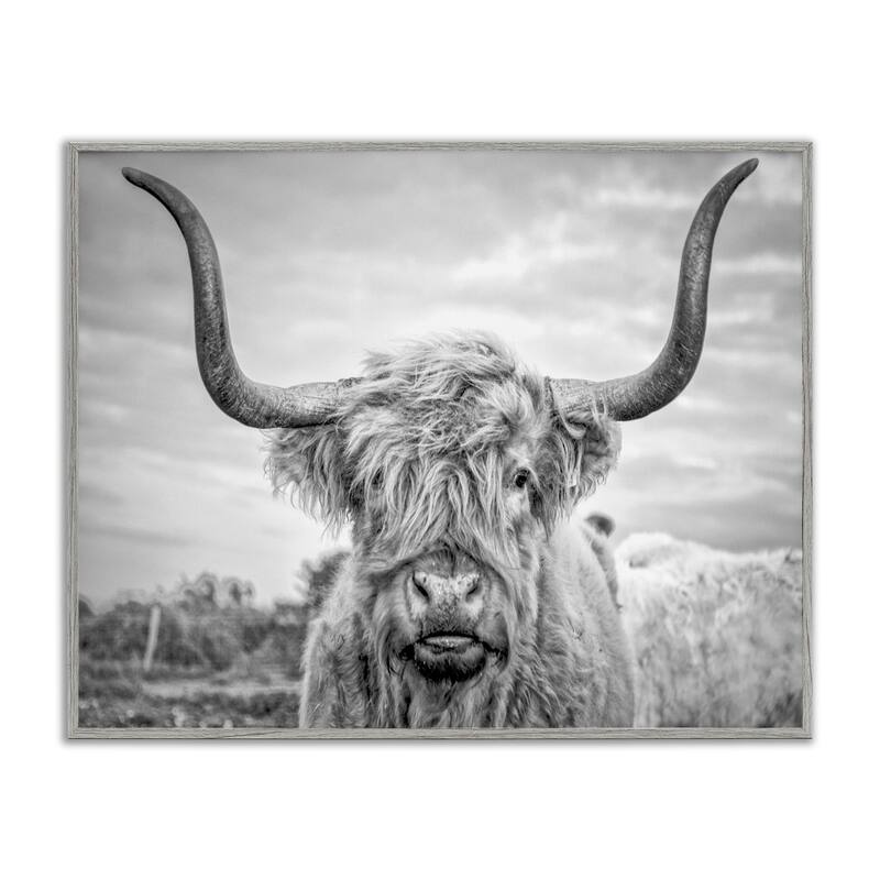 Stupell Cow Painterly Portrait Framed Giclee Wall Art - 24 x 30 - Grey