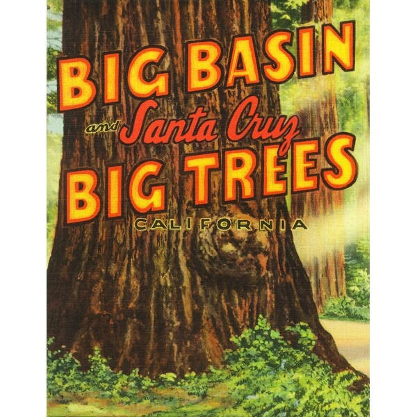 Shop Santa Cruz California Big Trees Park Big Basin Letters Vintage Poster Art Print Multiple Sizes Available Overstock 27945020