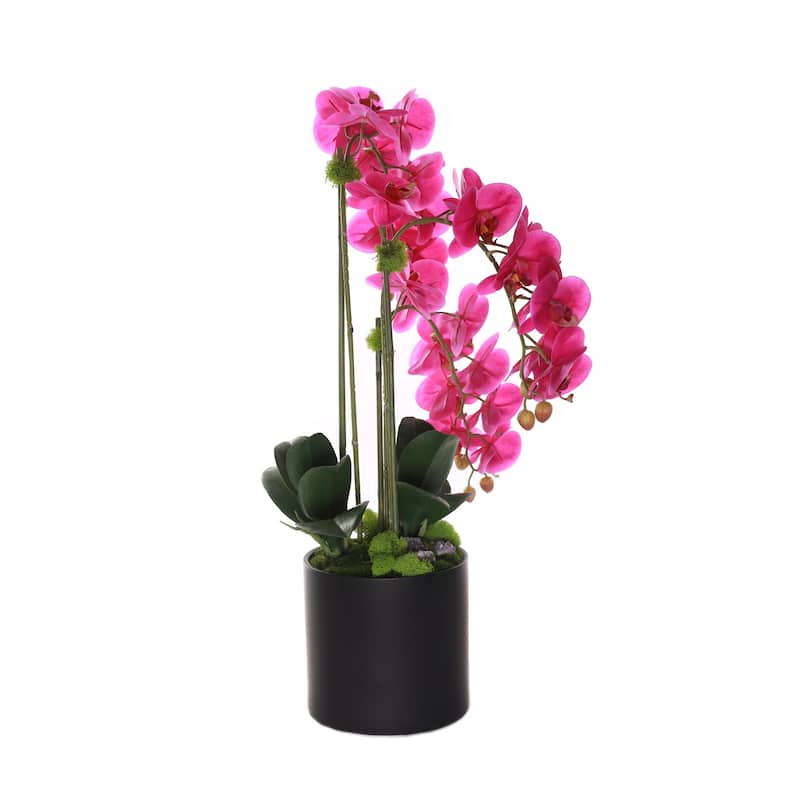 Purple Real Touch Orchid with Amethyst in Black Cylinder Pot