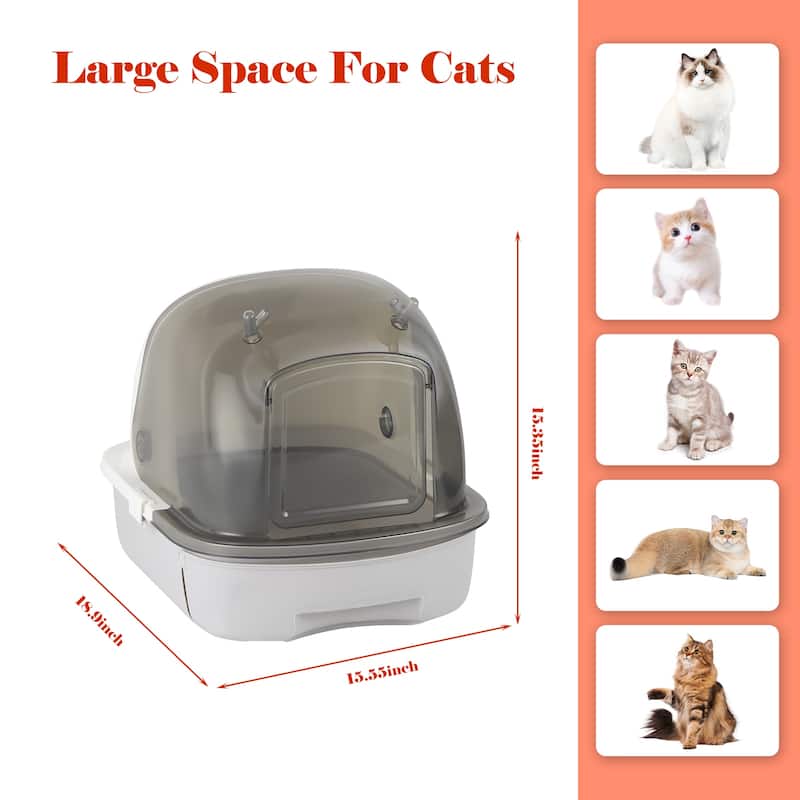 Cat Litter Box with Scoop