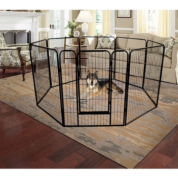 Electric dog fence for sale top