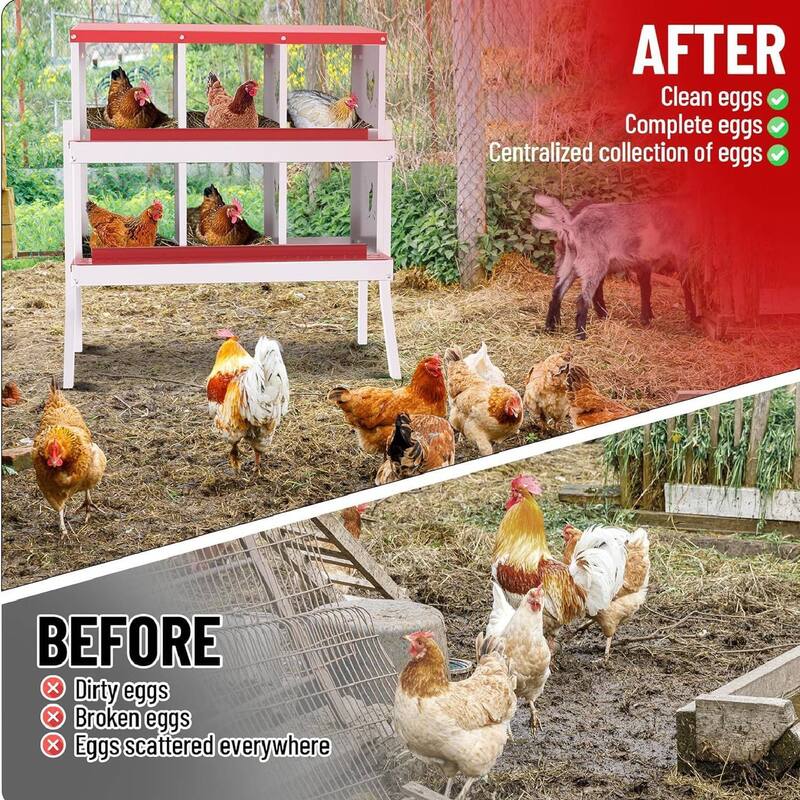 Chicken Nesting Boxes with Roll Out Egg Collection and Legs