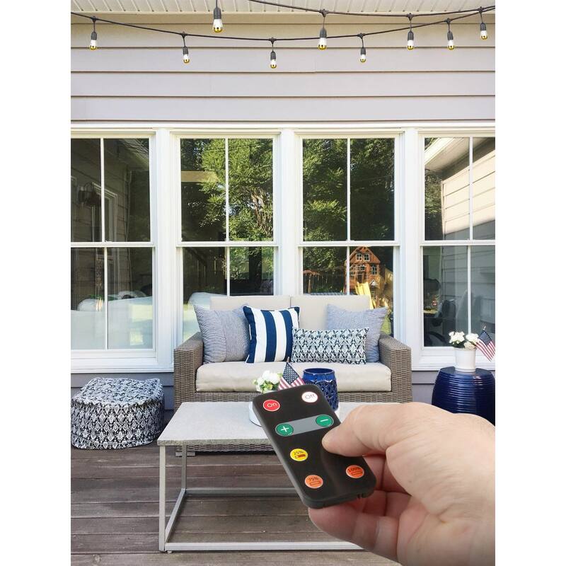 Brightech Ambience Pro 2 in. Dimmer for All Ambience Pro Indoor/Outdoor Plug-In String Lights (1-Pack) - Classic Black