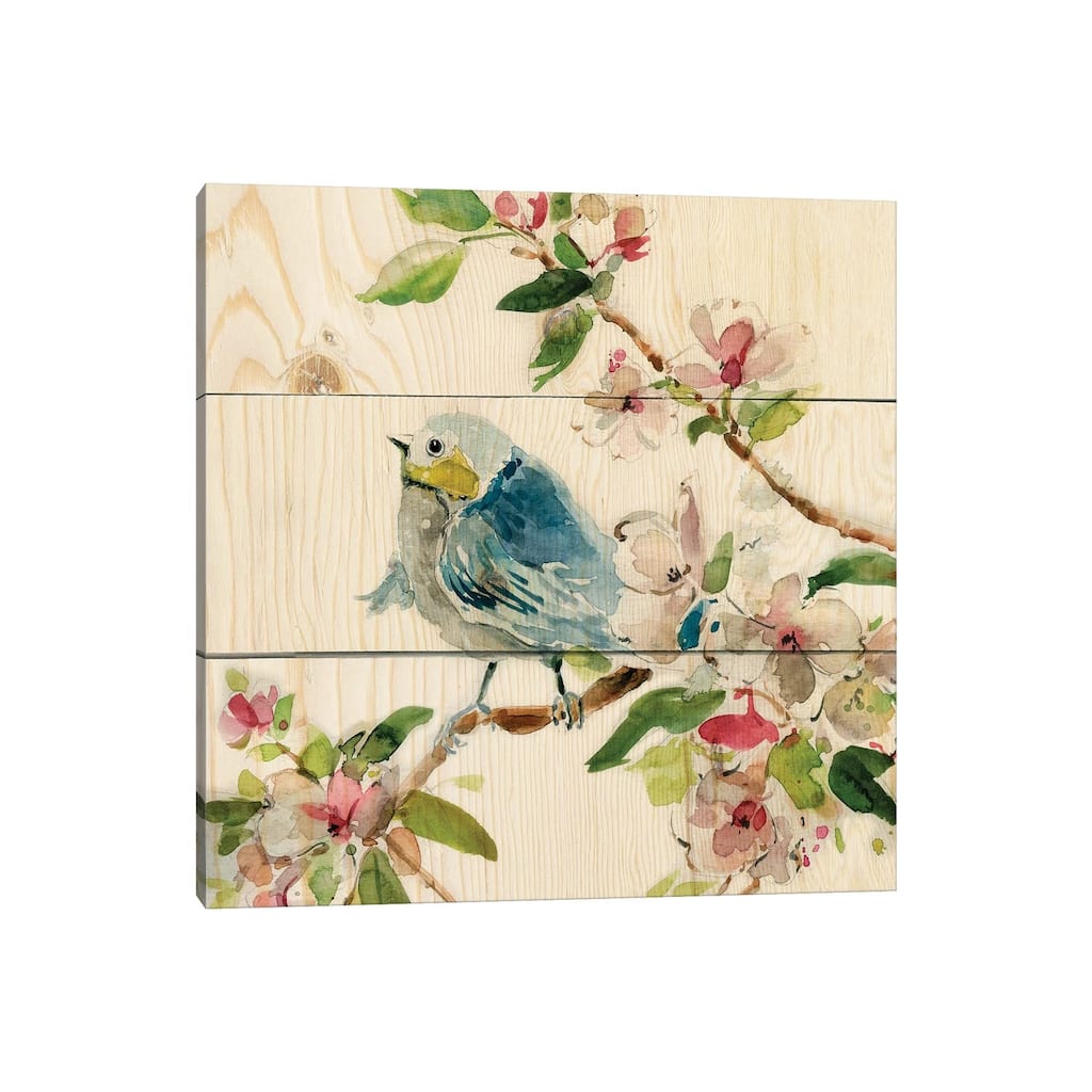 iCanvas "Birds and Blossoms II" by Carol Robinson Canvas Print