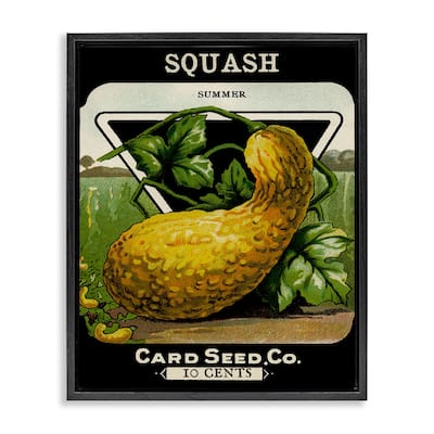 Stupell Vintage Garden Squash Framed Floater Canvas Wall Art Design By Lil' Rue