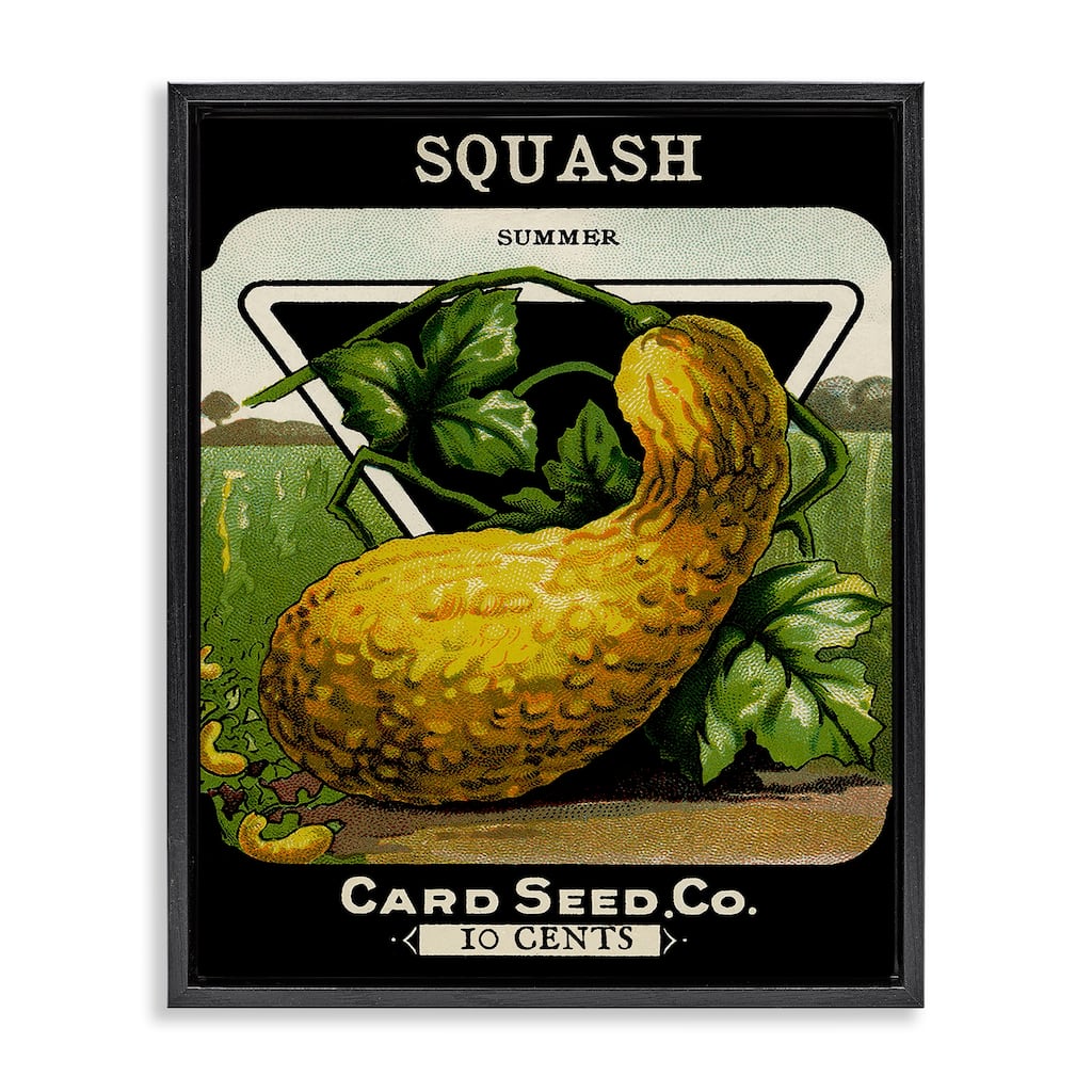 Stupell Vintage Garden Squash Framed Floater Canvas Wall Art Design By Lil' Rue