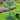 Costway Green Pedestal Bird Bath Feeder Freestanding Outdoor Garden