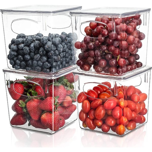 Sorbus Clear Plastic Organizer Storage Bin Containers with Handle and ...