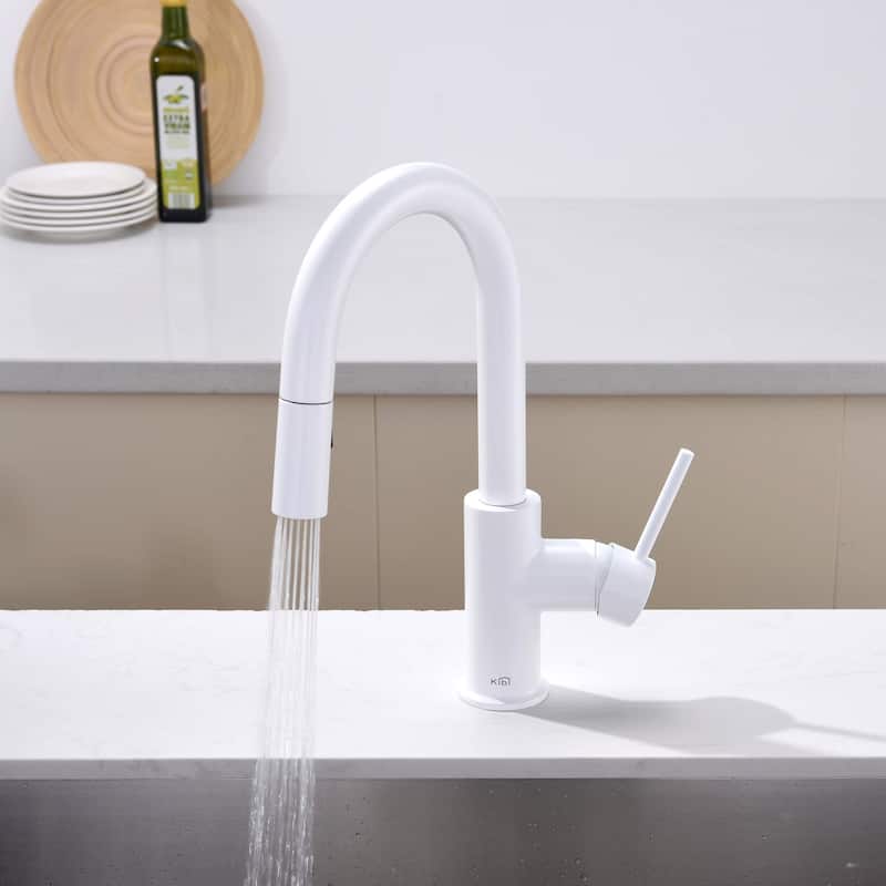 Single-Hole Pull-Down Kitchen Faucet with Sprayer and Magnetic Docking