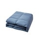 preview thumbnail 13 of 14, Beautyrest Color Feather And Down Comforter Blue - Full - Queen