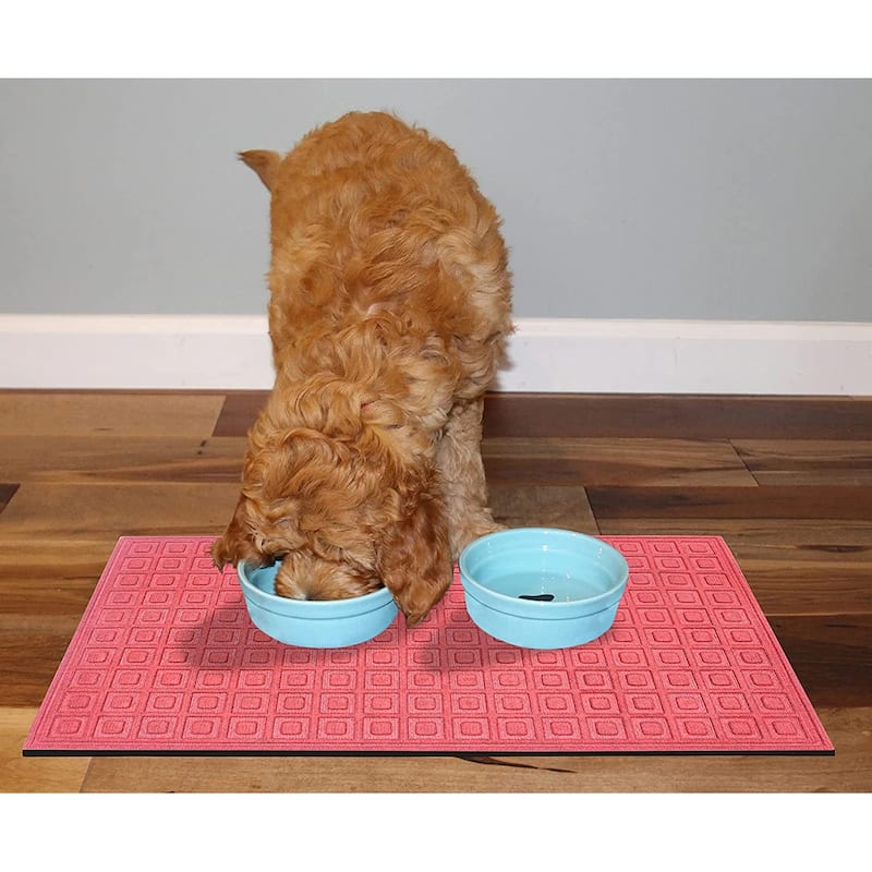 A1HC Water retainer Indoor/Outdoor Doormat, 24" x 36"