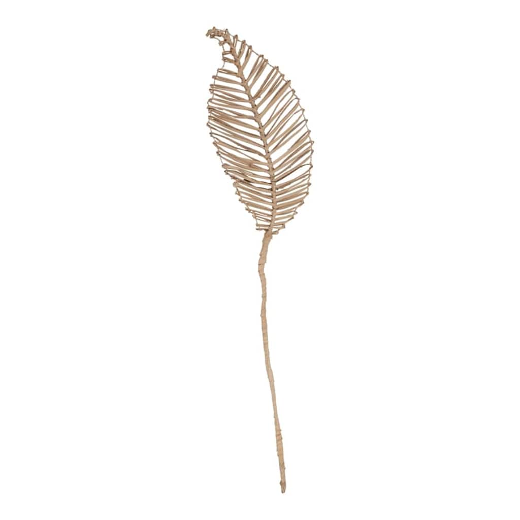 Decorative Planta Loco - Natural