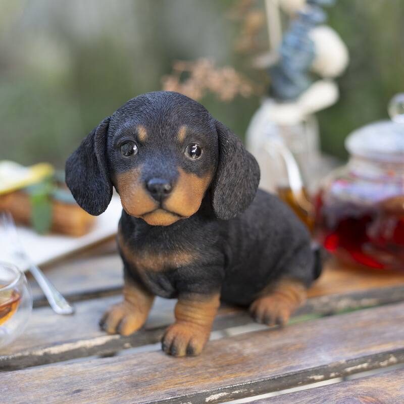 SoReal Black Dachshund