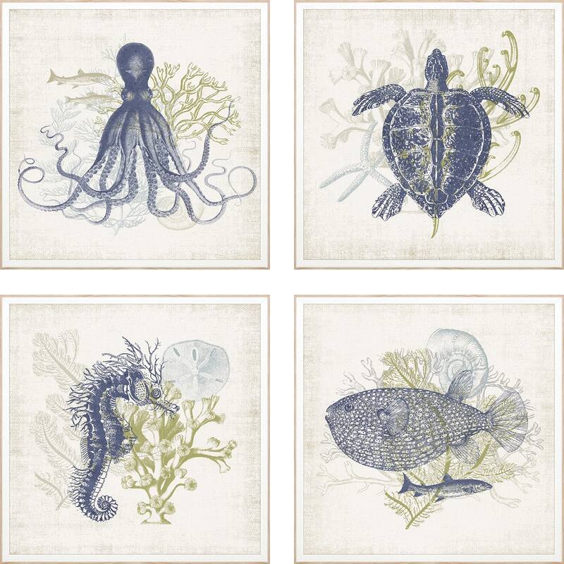 Coastal Ephemera S/4 Framed Art Giclee Under Glass - Blue - 18 X 18 X 2