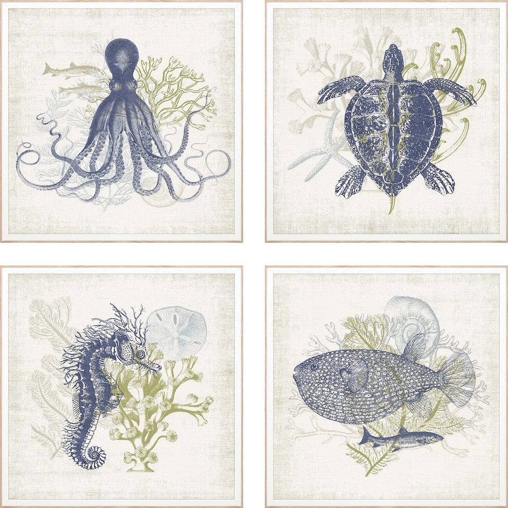 Coastal Ephemera S/4 Framed Art Giclee Under Glass - Blue