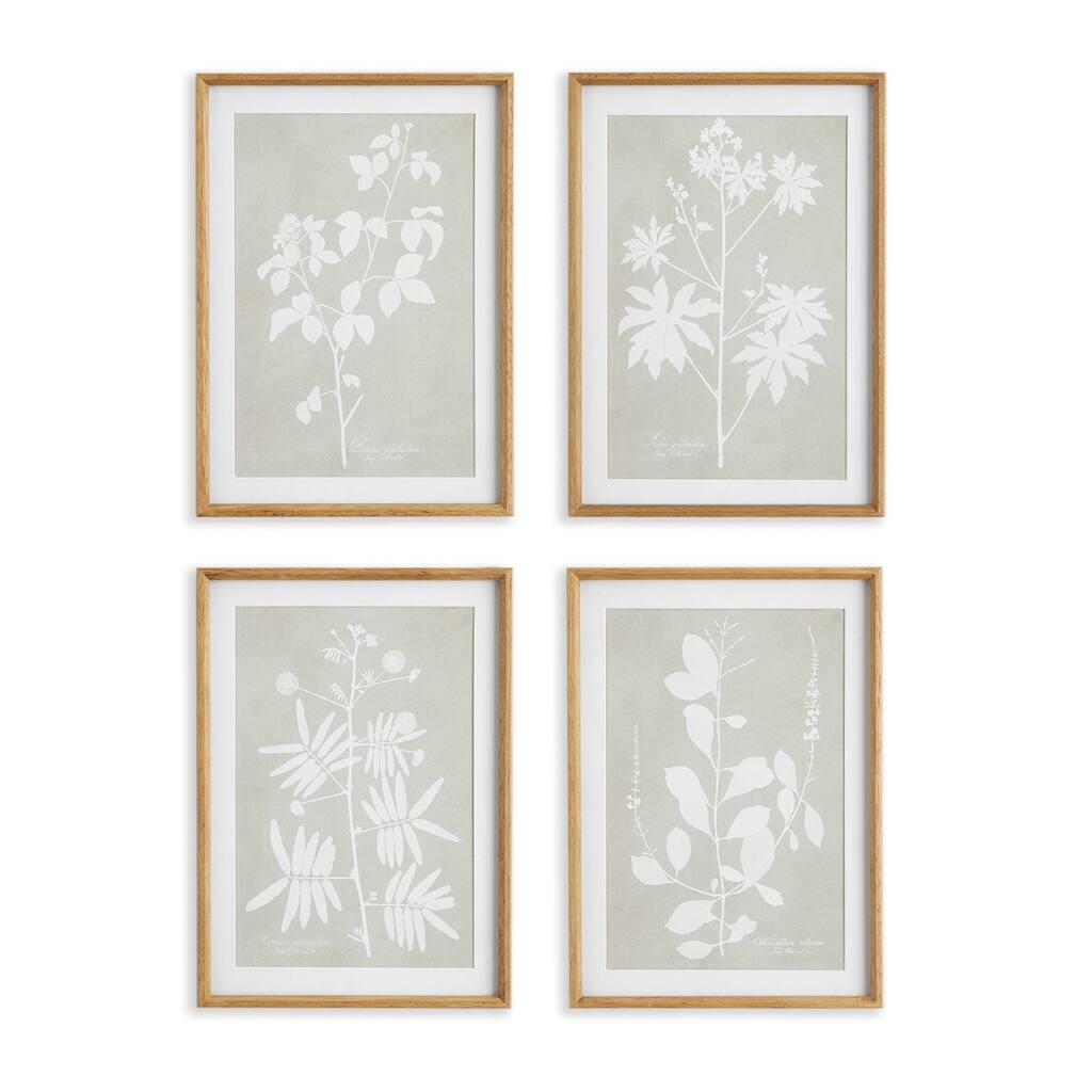 Foliage Study