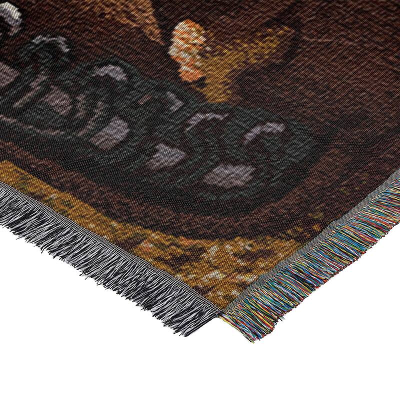 MLB Woven Tapestry Throw Blanket