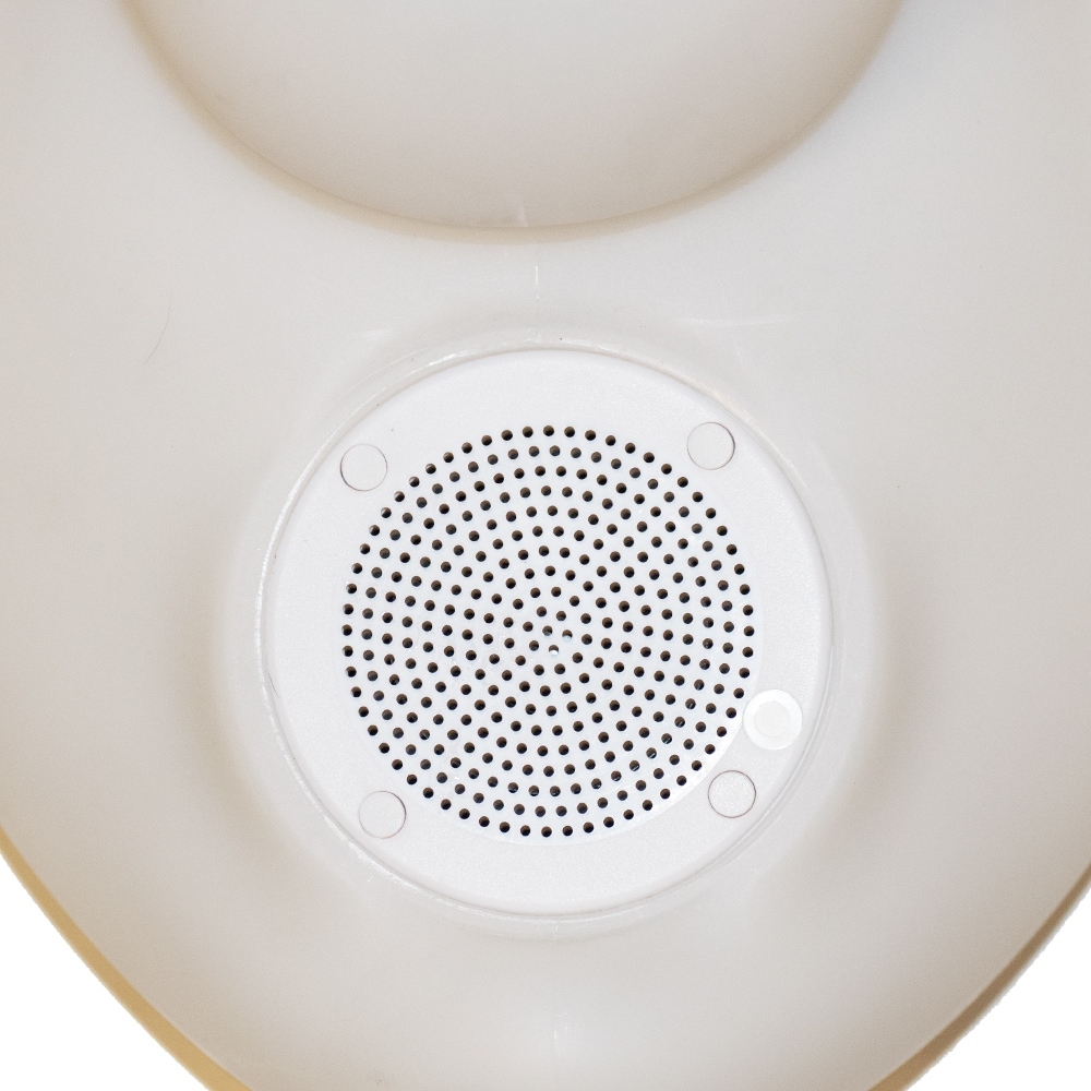 floating pool duck speaker