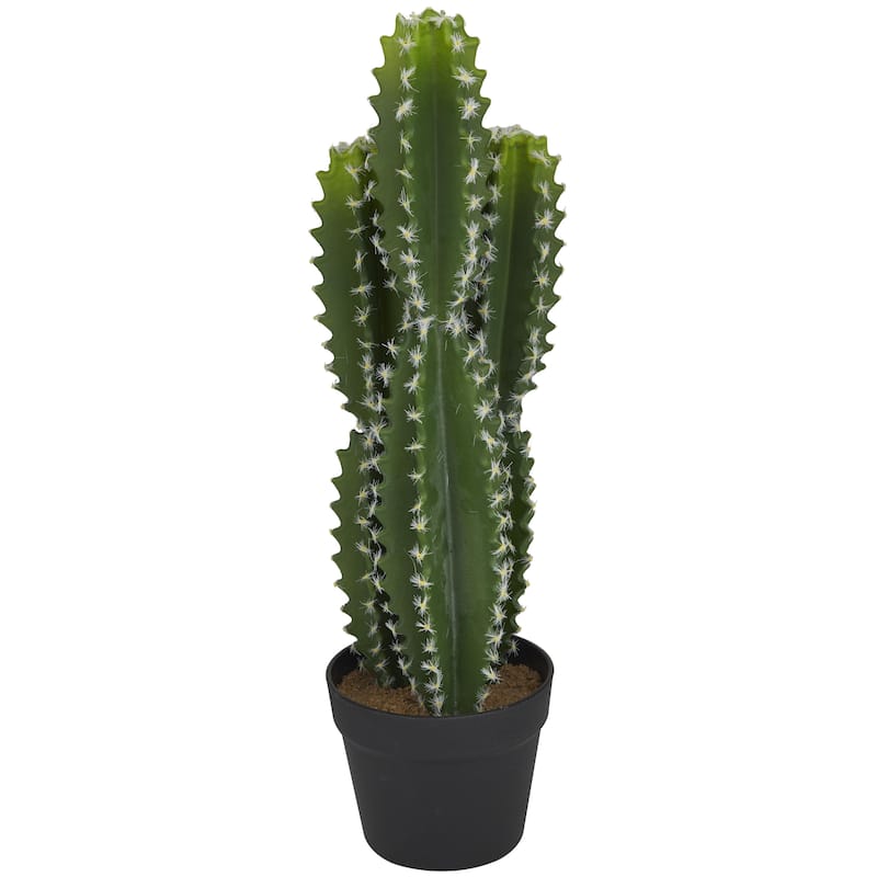 Faux Foliage Cactus Artificial Plant with Realistic Leaves and Black Round Pot - Green - Roche River Decor - Green