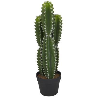 Faux Foliage Cactus Artificial Plant with Realistic Leaves and Black Round Pot - Green - Roche River Decor