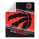 NBA Toronto Raptors 4-Piece Twin Bedding Set in a Bag - Overstock