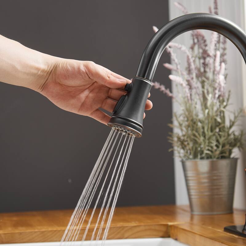 WIZ 3-Spray High Arc Pull Down Sprayer Kitchen Faucet With Deck Plate
