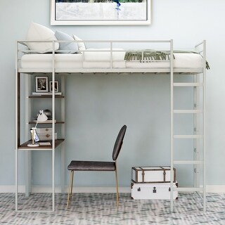 Multifunctional Design Metal Loft Bed with Two-sided Ladder, Shelves and Desk, Twin Size