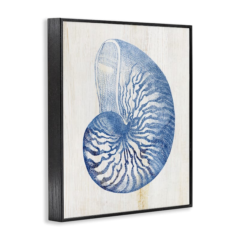 Stupell Blue Nautilus Shell Framed Giclee Art Design By Susan Arnot