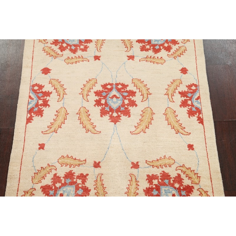Vegetable Dye Floral Ziegler Area Rug Wool Hand-knotted Foyer Carpet - 3'2" x 4'4"