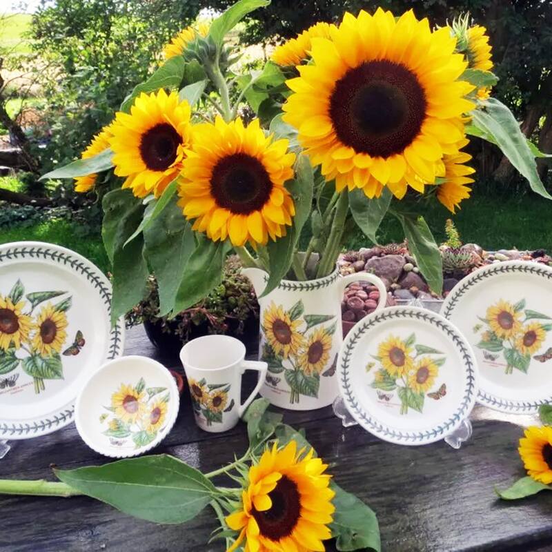 Portmeirion Botanic Garden Entertaining Platter - 12 inch