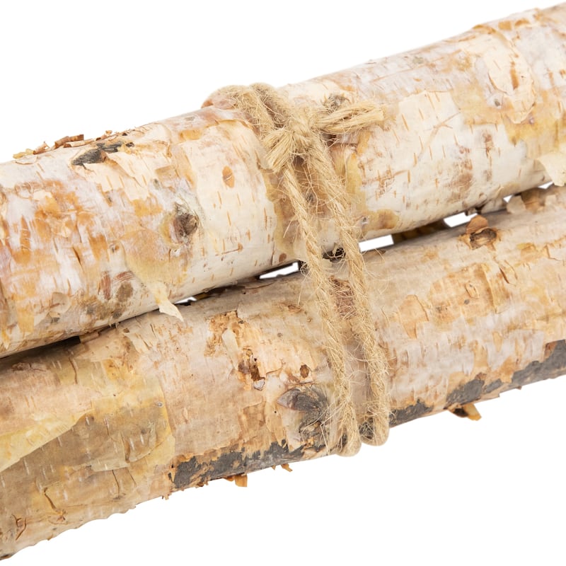 38.5" Birch Wood Branch Bundle Christmas Display