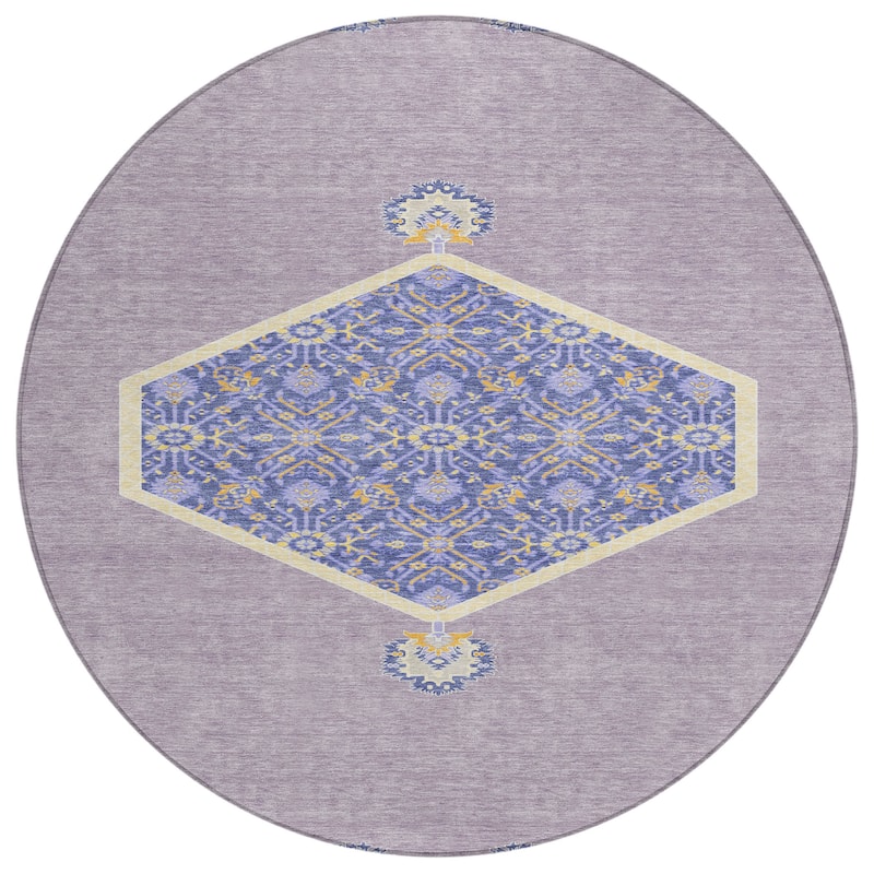 Machine Washable Indoor/ Outdoor Traditional Chantille Rug