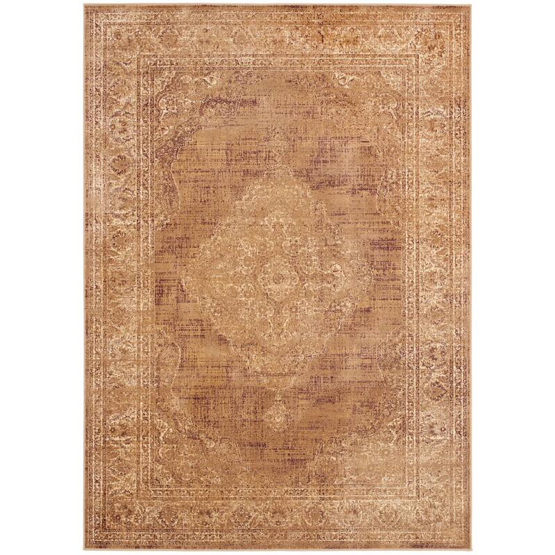 SAFAVIEH Vintage Distressed Boho Caliopa Oriental Area Rug