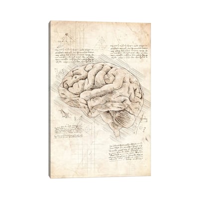 iCanvas "Human Brain" by Cornel Vlad Canvas Print