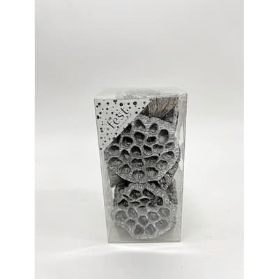 Dried Natural Botanicals PVC Box- Whitewashed Dia 3.9" - WHITEWASHED