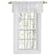 Option White
