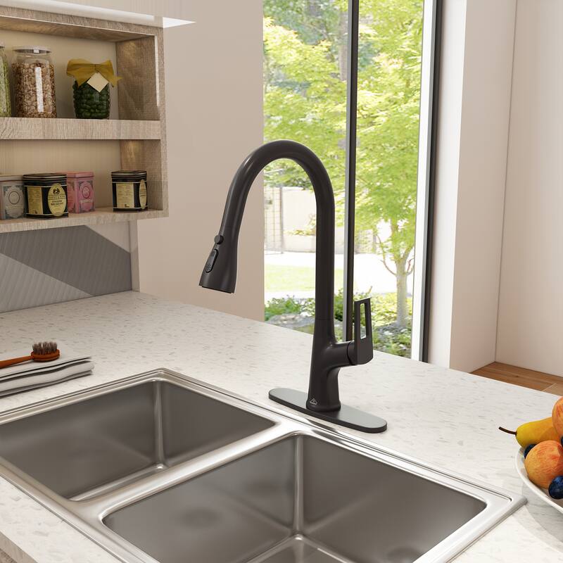 Single-Handle Kitchen Sink Faucet With Pull-Out Sprayer - Matte Black