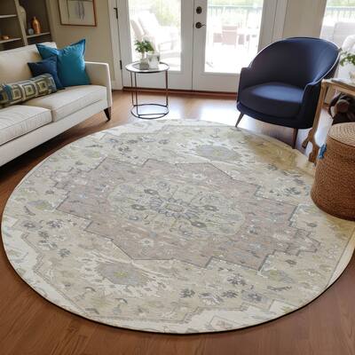 Machine Washable Indoor/ Outdoor Traditional Medallion Chantille Rug