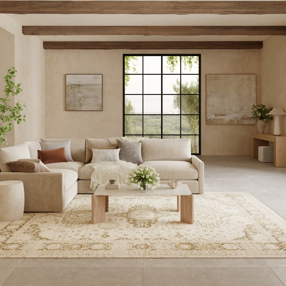 Nourison Pardis Indoor only Cream / Ivory Persian Area Rug