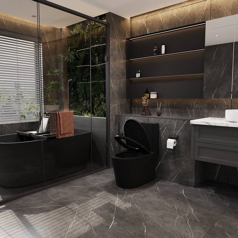 1.1/1.6 GPF Dual Flush 1-Piece Elongated Toilet with Matte Black
