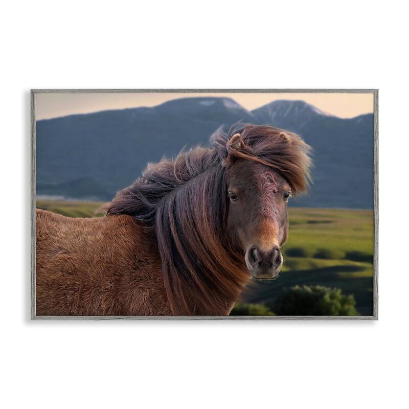 Stupell Windblown Mare in Mountain Valley Framed Giclee Art Design By Steve Toole - 24 x 16 - Grey